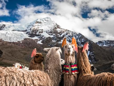 Cusco