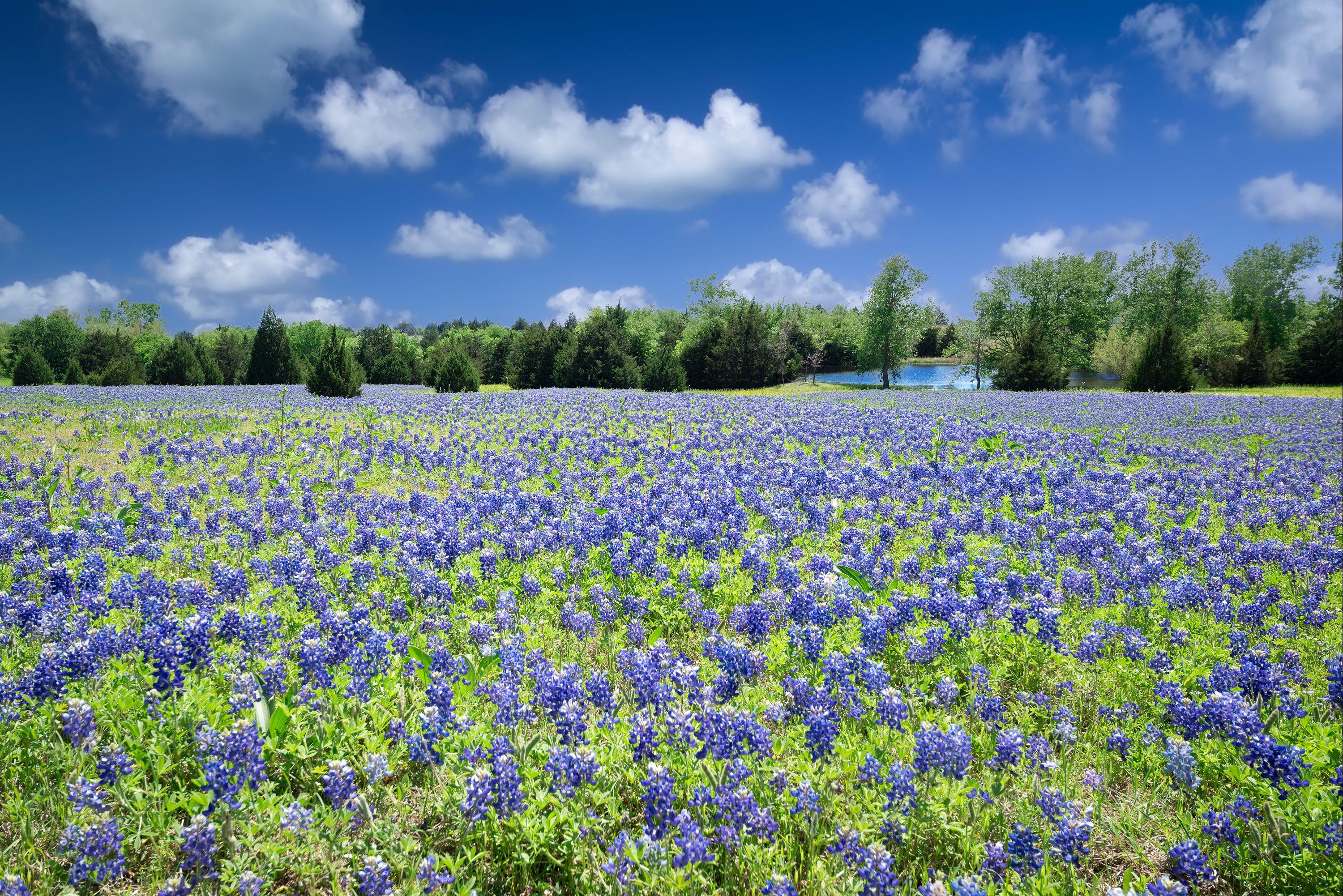 Cuantas horas son best sale de houston a dallas