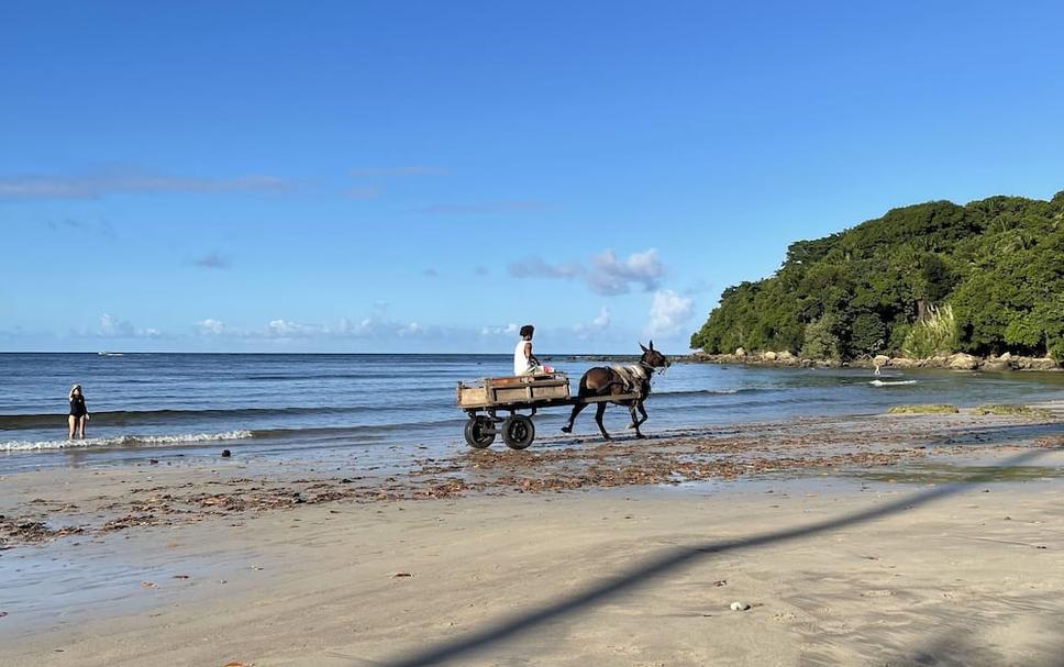 Playa Foto