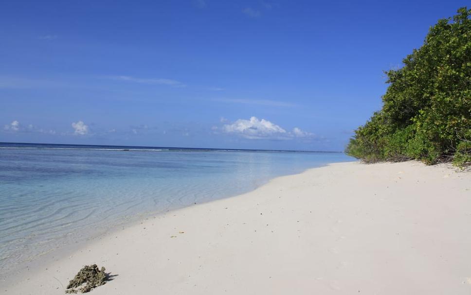 Playa Foto