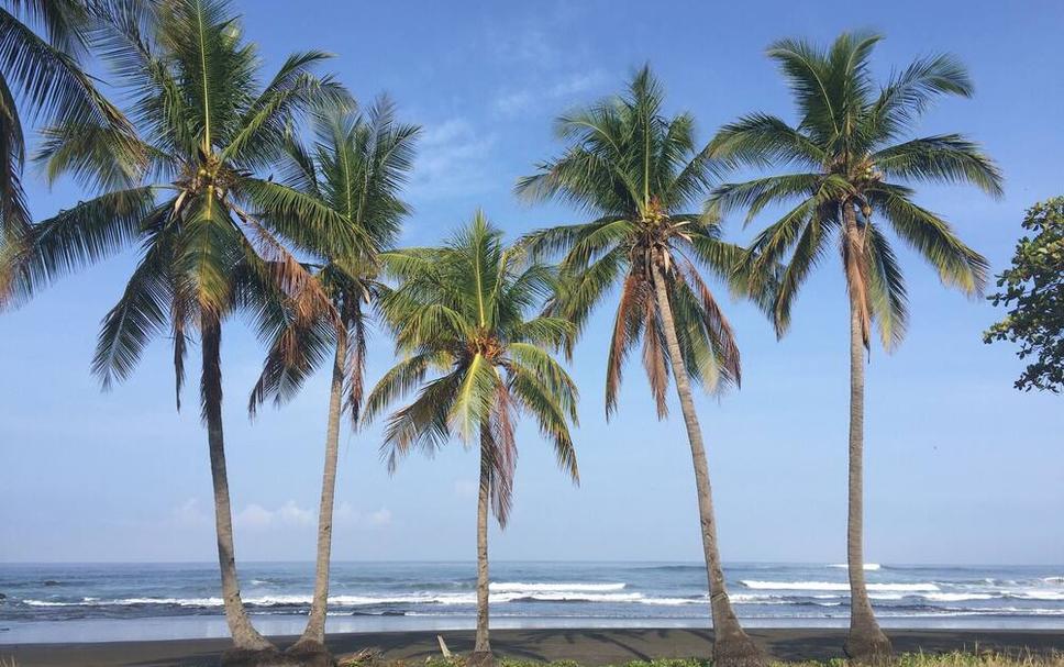 Playa Foto