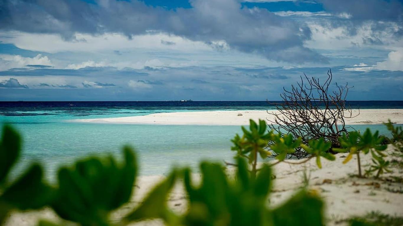 Detour Beach View