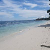 birdwatchers beachfront hotel panglao