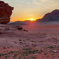 bedouin future camp