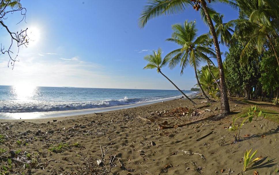 Playa Foto