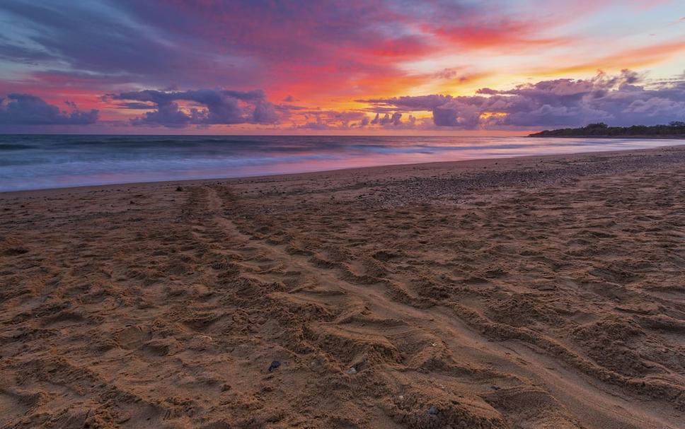 Playa Foto